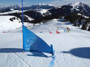 Boardercross
