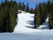 Elevator Shaft descent