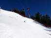 Ski resorts for advanced skiers and freeriding Bolzano – Advanced skiers, freeriders Kronplatz (Plan de Corones)