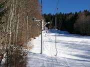 Hořec vlek - J-bar