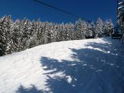 Waizer downhill run