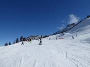 Easy Panorama Run