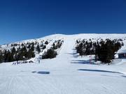 Slope No. 68