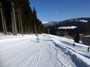 Labská slope