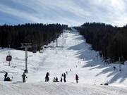 View of slope 1