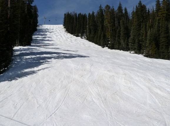 Alps downhill run