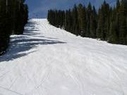 Alps downhill run