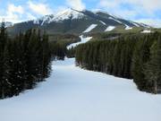 View of the forest glade runs in the Nakiska ski area