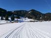 Cross-country skiing Upper Bavaria (Oberbayern) – Cross-country skiing Steckenberg – Unterammergau