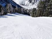 Difficult slope Rosim