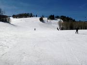 Camp Bird downhill run