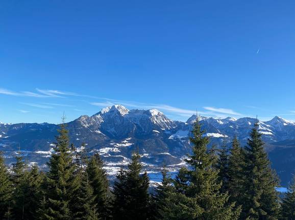 Panorama from Hochschwarzeck