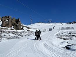 Karels T-bar