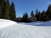 Easy slope Grafenherbergschuss