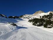 Jochalpe slope