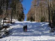 Hochberg Ost (Sonnenlift) - T-bar