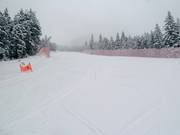 Bianca downhill run