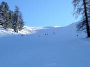 Rifenal Run No. 1