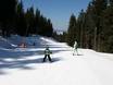 Ski resorts for beginners in Eastern Europe – Beginners Pamporovo
