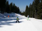 Easy slope 12 in the ski area