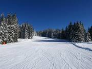 Schwaigalm slope