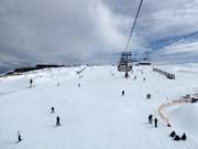 Easy slope Baldy