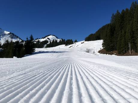 Slope preparation Bregenzerwald – Slope preparation Damüls Mellau