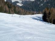 Kaiserburg descent