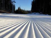 First-class slope grooming in the Lavarone ski area
