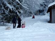 Toboggan run from the Reiseralm to the valley station of the Brauneckbahn