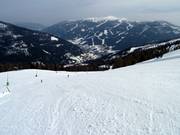 Wiesernock run