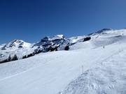 FIS slope