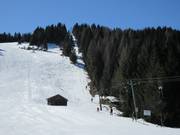 Korbinianlift - T-bar