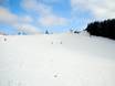 Slope preparation Hochsauerland County – Slope preparation Altastenberg