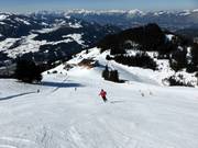 Steep slope from the Hohe Salve