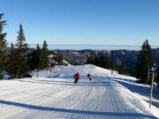 Alm descent