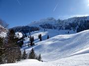 View of the slopes below the Kampenwand