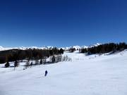 Intermediate panoramic slope at Unterrat