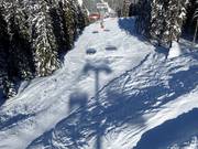 Cross-Ride-Track