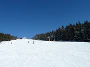 Ski run at Hundseck