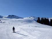 Enzian I slope
