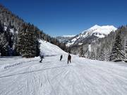Easy slope in the ski area near Garfrescha