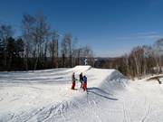 Rockstar MSS Snowpark