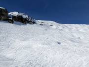 Loser Freeride Area