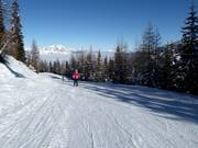 Easy valley run
