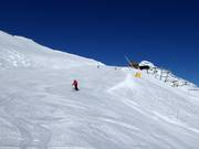 Horn downhill run