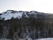 View of Mt. Disney