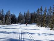 High-altitude trail Roßbrand