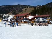 Schelpenalp