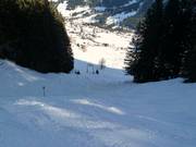 Bühl Run